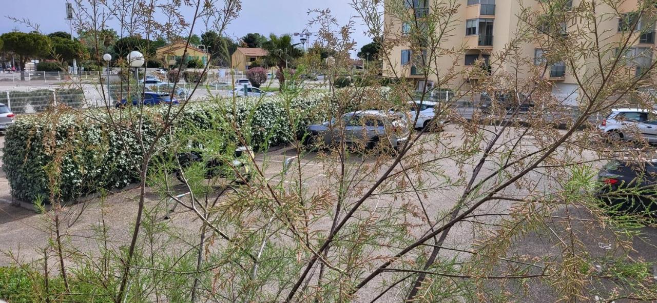 La Cigale De Mer A 100 M De La Plage Et Du Centre Ville Du Grau Du Roi لو غراو دو روا المظهر الخارجي الصورة
